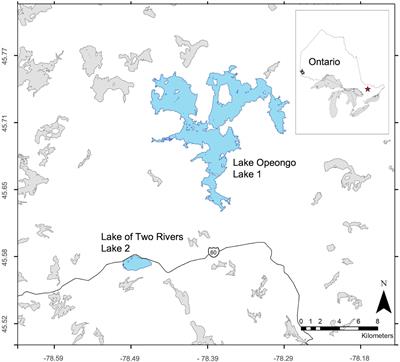 Seasonality can affect ecological interactions between fishes of different thermal guilds